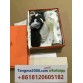 tangma2088.com WhatsApp oficial: +8618120605182 | Qiqiyg-466 Venta al por mayor directa de fábrica: ropa, calzado y bolsos 2026 | Proveedor líder de China