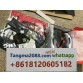 tangma2088.com WhatsApp oficial: +8618120605182 | Qiqiyg-548 Venta al por mayor directa de fábrica: ropa, calzado y bolsos 2026 | Proveedor líder de China
